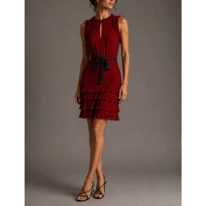 Jason Wu Collection Runway Red Printed Chiffon Belted Dress Size 2